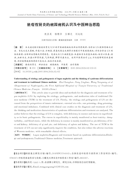 狼疮性肾炎的病因病机认识及中医辨治思路