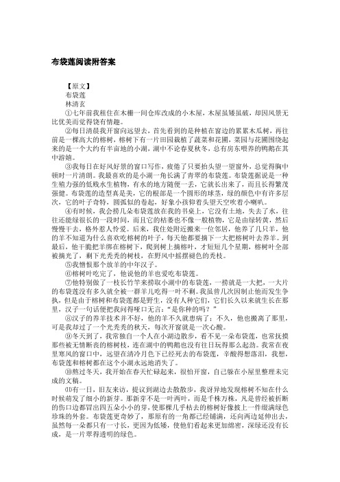 布袋莲阅读附答案