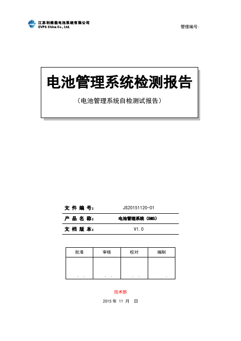 电池管理系统自检测试报告