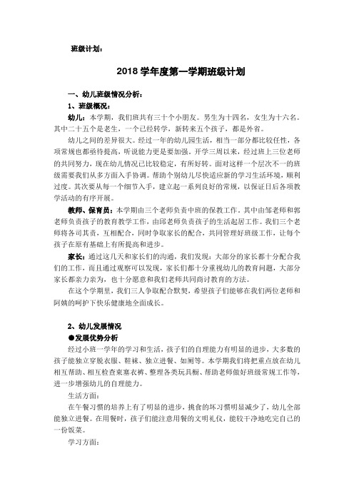 2018学年度第一学期班级计划——中二班