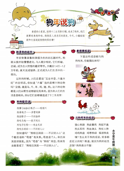 狗年说狗