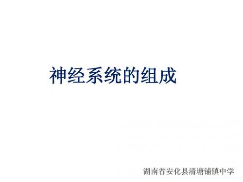 s4.6.2神经系统的组成