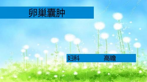 讲卵巢囊肿资料ppt课件