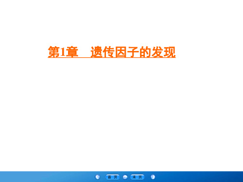 2019-2020学年人教版高中生物必修二学练测课件：第1章 遗传因子的发现 第1节 第1课时