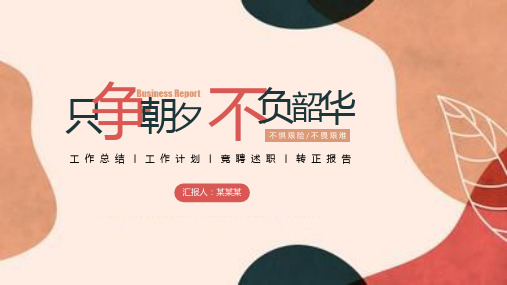 只争朝夕不负韶华工作总结工作计划工作汇报述职报告PPT模板