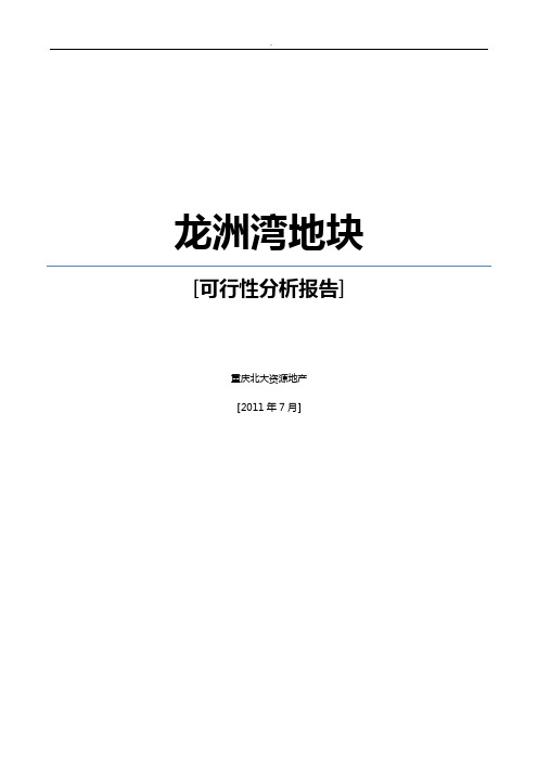 龙洲湾地块可行性报告