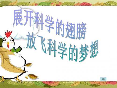 大象版小学科学四年级上册《鱼儿的奥秘》精美课件