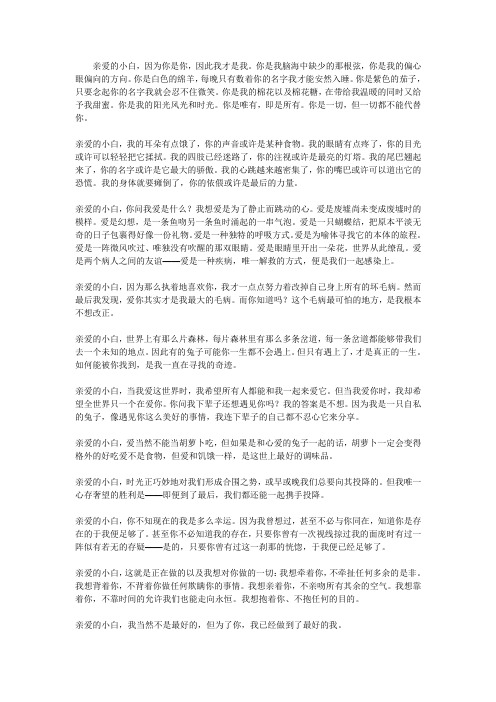 小白兔写给小灰兔的情书