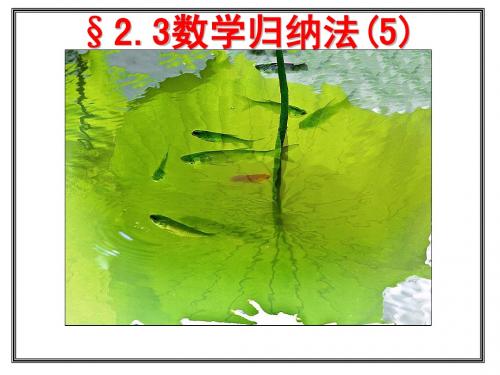 数学归纳法(5)