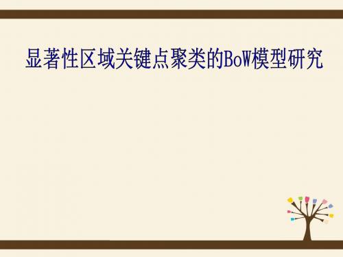 显著性区域关键点聚类的BoW模型研究答辩PPT