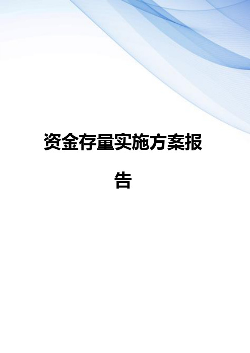 【精编】资金存量实施方案报告
