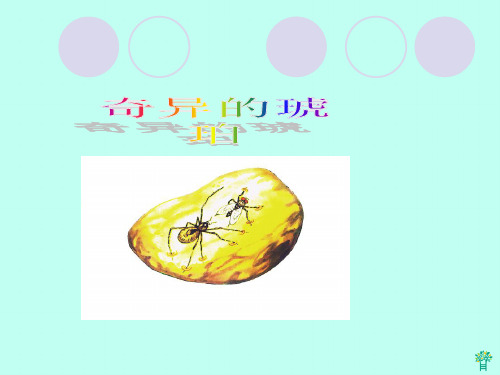 奇异的琥珀1PPT课件