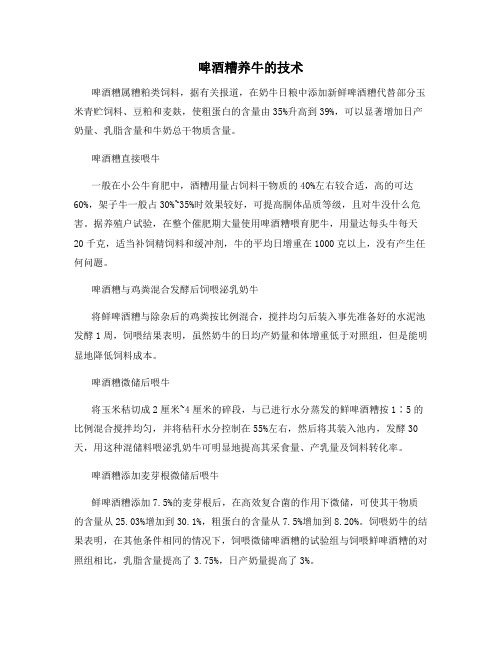 啤酒糟养牛的技术