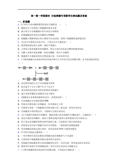 高一第一学期期末 非选择题专项联考生物试题及答案