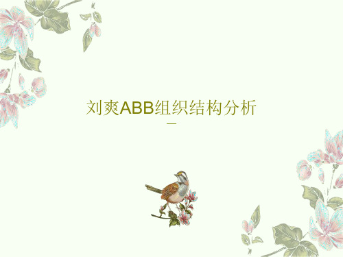 刘爽ABB组织结构分析PPT文档19页