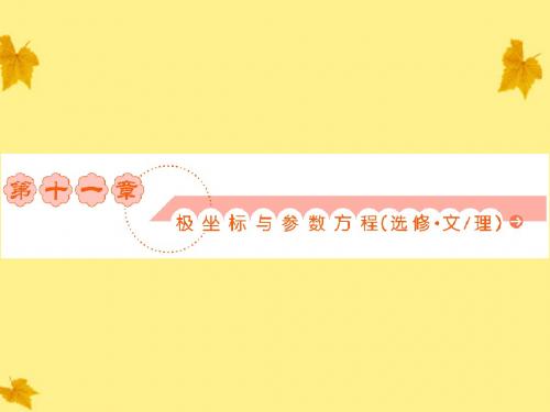 2012《新高考全案》高考数学 11极坐标与参数方程课件 人教版