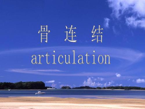 第三节骨连结