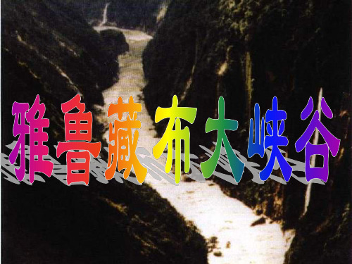 人教版小学四年级语文雅鲁藏布大峡谷-202004