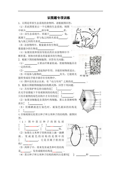 识图题专项练习