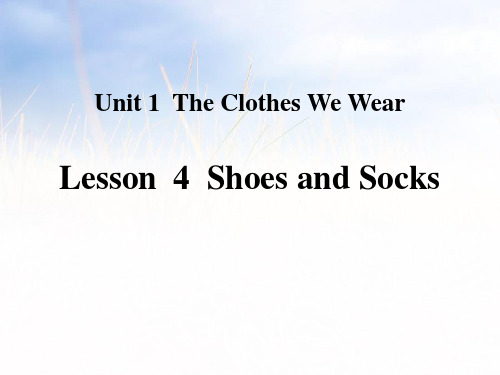 《Shoes and Socks》冀教版四年级英语上册课件PPT文档(3篇)