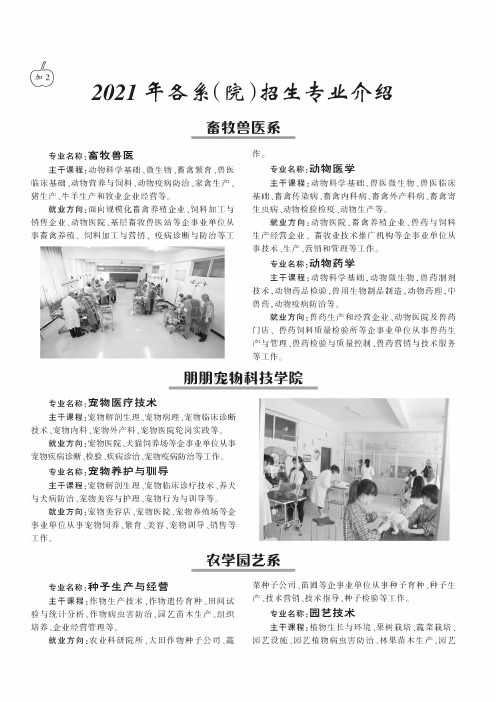 2021年各系(院)招生专业介绍