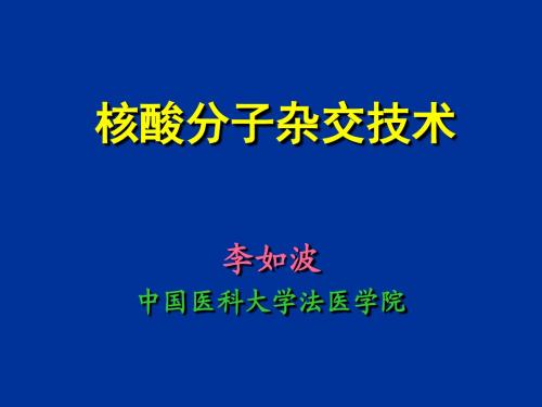 核酸分子杂交技术2016-李