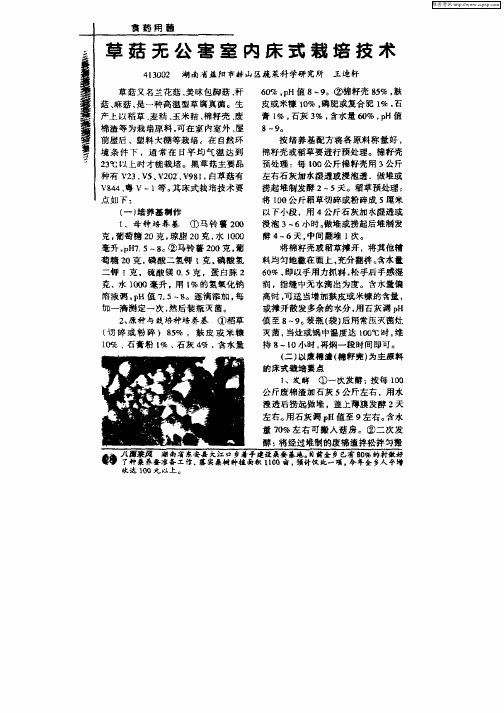 草菇无公害室内床式栽培技术