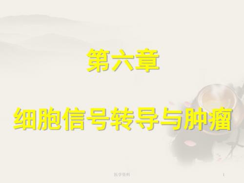 细胞信号转导与肿瘤