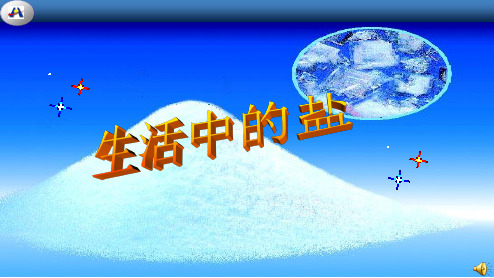课件1：11.1 生活中常见的盐