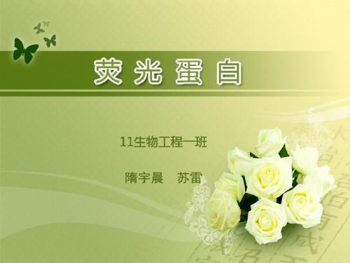 荧光蛋白