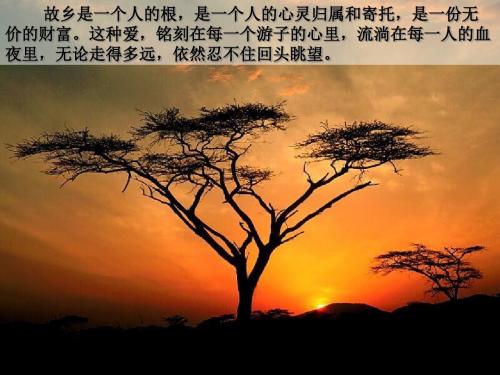 苏教版高中语文必修一ppt课件3.2 我心归去