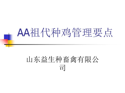 AA种鸡管理精品文档49页
