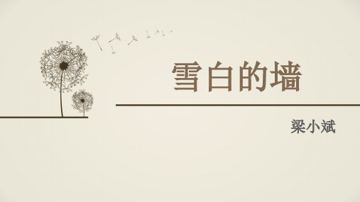 人教版选修“中国现代诗歌散文欣赏”第五单元 《雪白的墙》(经典课件)