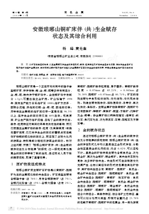 安徽琅琊山铜矿床伴_共_生金赋存状态及其综合利用