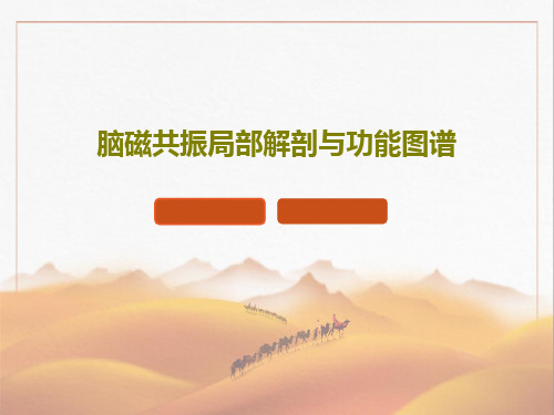脑磁共振局部解剖与功能图谱共29页