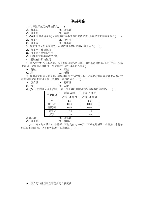 最新人教课标版七年级生物下册第5章《尿的形成和排出》课后训练