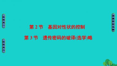 高中生物第4章基因的表达第2节基因对性状的控制、第3节遗传密码的破译课件新人教版必修2