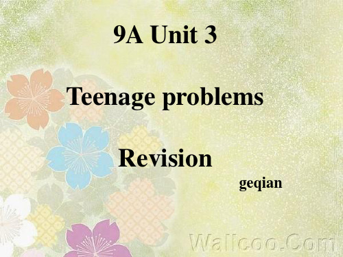 9aunit3revision
