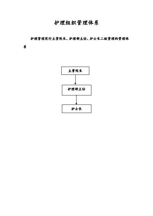 护理组织管理体系