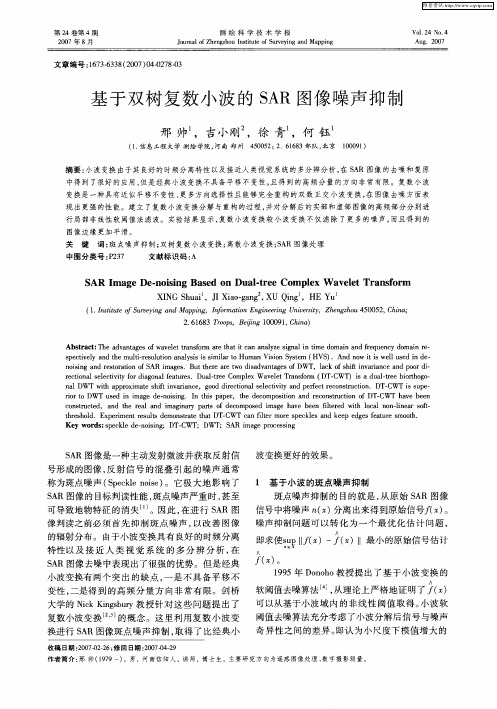 基于双树复数小波的SAR图像噪声抑制