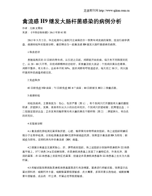 禽流感H9继发大肠杆菌感染的病例分析