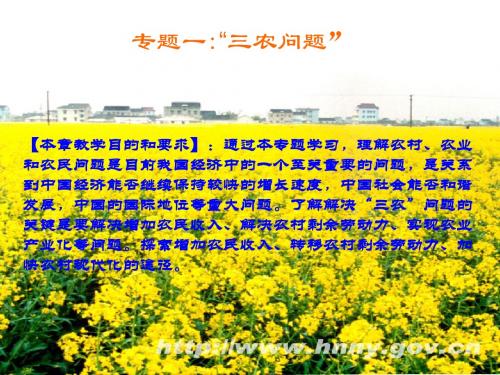 专题一“三农问题”