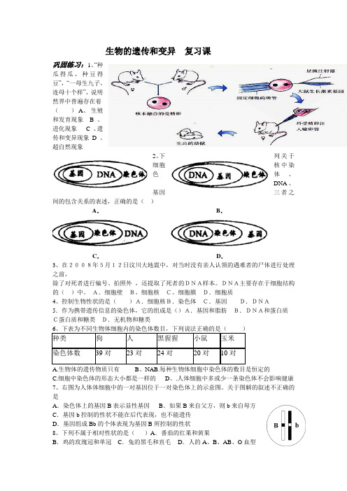 鲁科版-生物-八年级下册-第二章 生物的遗传和变异 单元测试