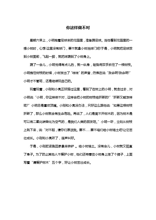 你这样做不对_三年级作文