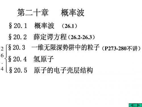 概率波