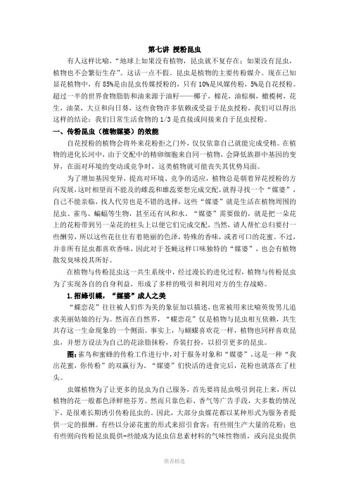 第七讲-授粉昆虫