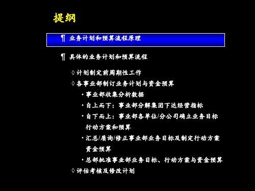 麦肯锡-xx系列手册之业务计划和资金预算操作手册