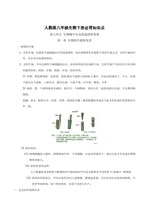 初中八下册生物必背知识点整理