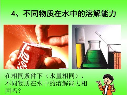 不同物质在水中的溶解能力