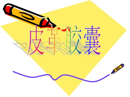 皮革胶囊